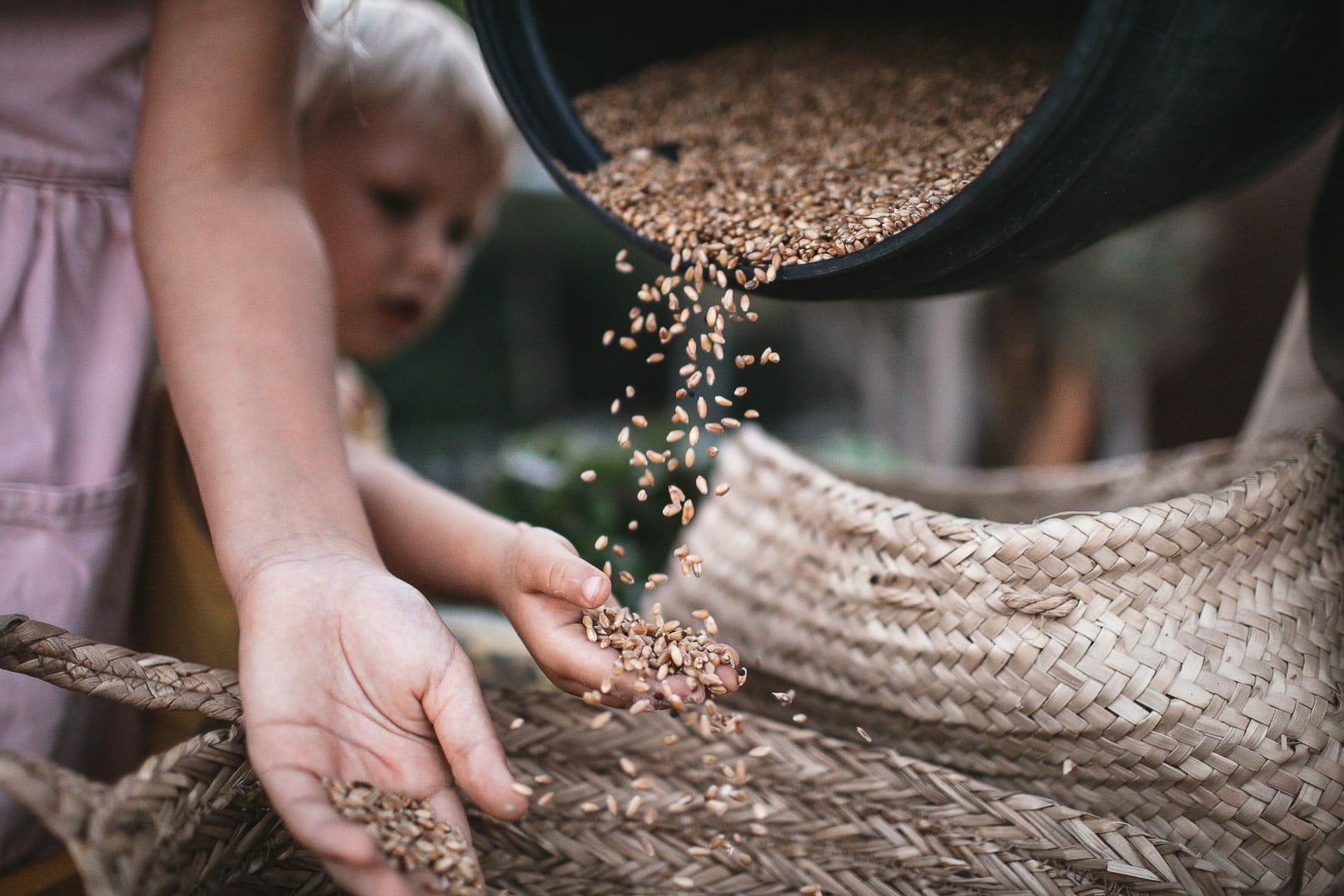 Photographic detail of two children playing with wheat seeds
