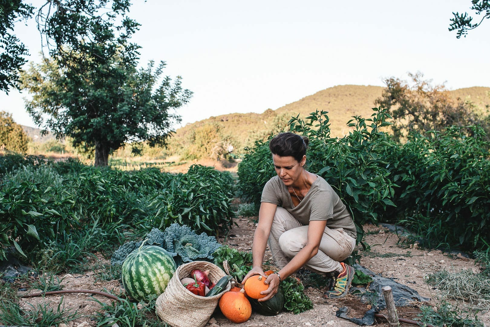Photograph of Marina collecting vegetables from her Can Puvil garden in Ibiza