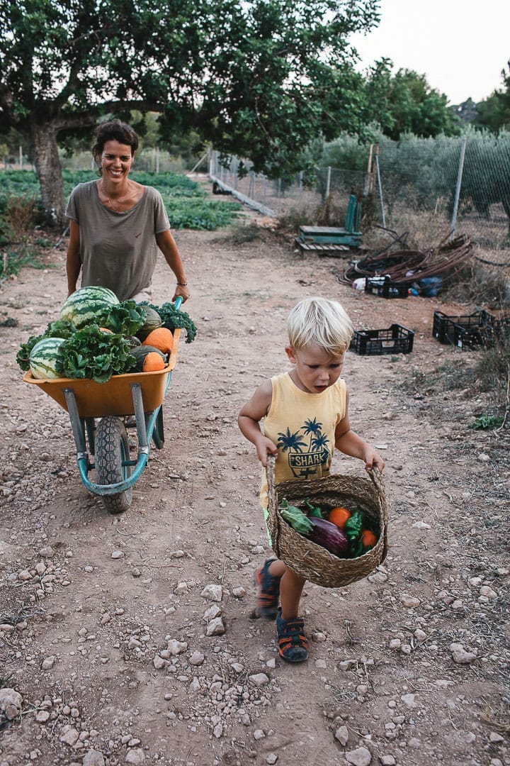 endearing moment of mother and son moving the vegetables collected from the Can puvil garden